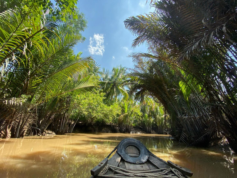 Cồn Phụng
