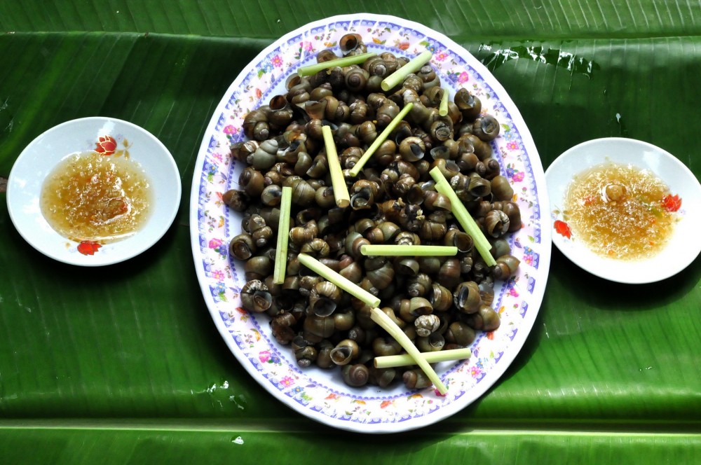 Ốc gạo