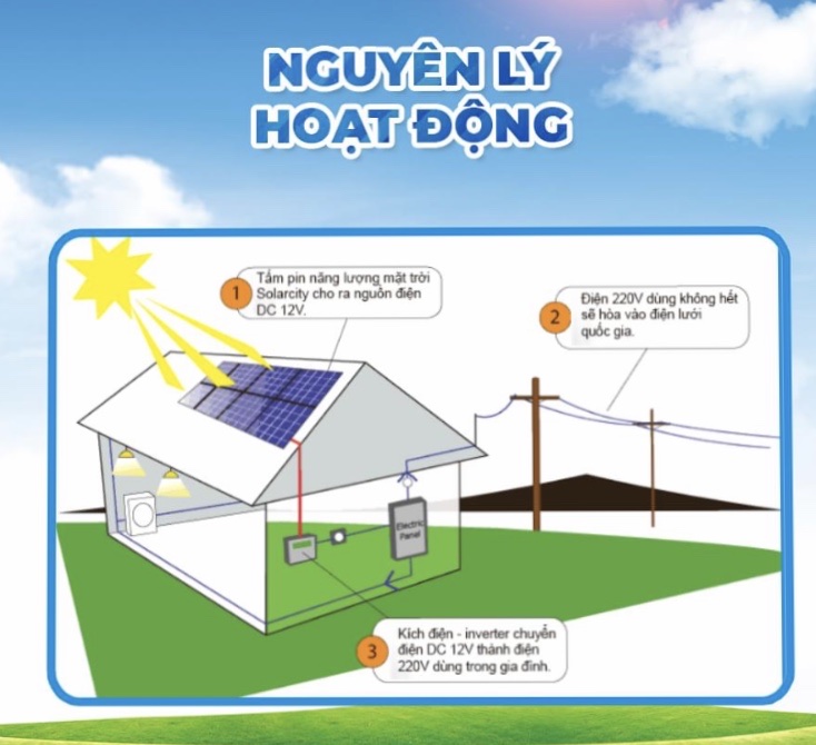 Nguyên lý hoạt động