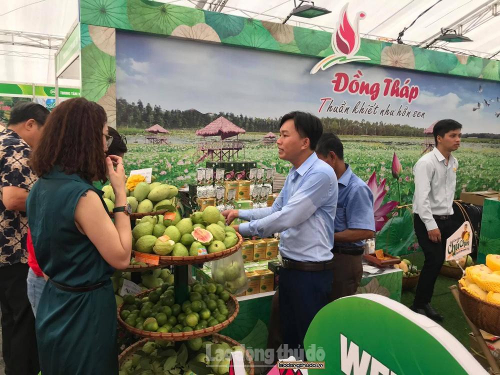 Hà Nội tăng cường kết nối, tiêu thụ trái cây, nông sản các tỉnh, thành phố