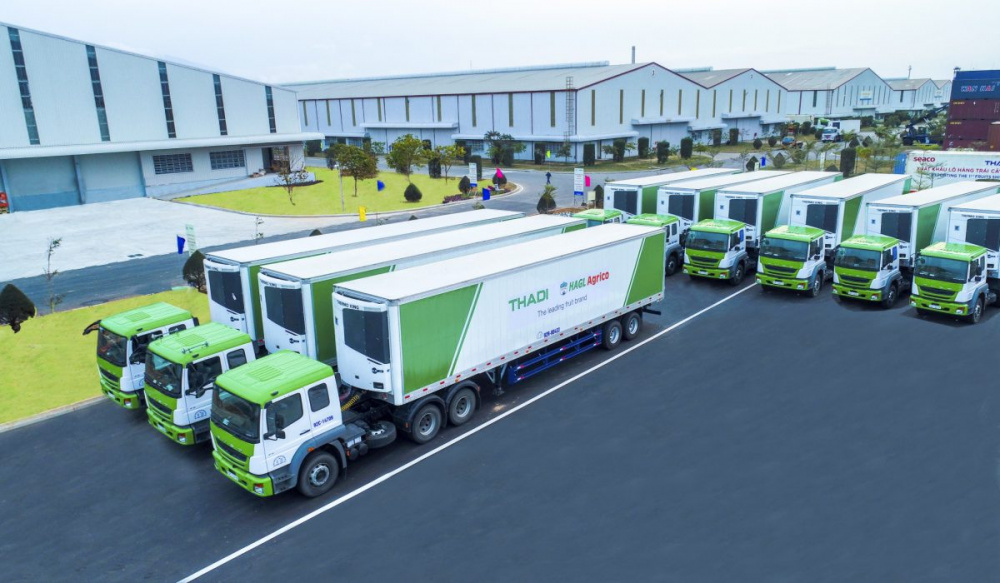 Container vận chuyển từ TP.Hồ Chí Minh ra Hà Nội bằng đường bộ, một phương tiện chỉ chở được một container nên không có lợi thế so với đường biển