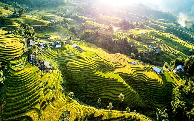 ruong bac thang sapa