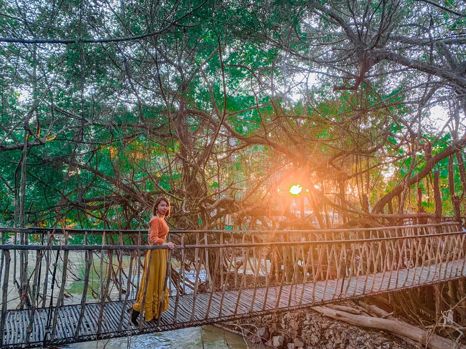 Cầu mây