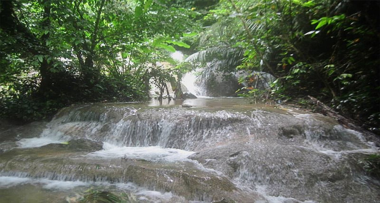 Suối Tiên