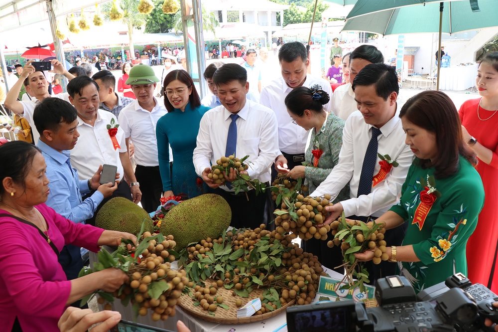Ngay sau Hội nghị Xúc tiến tiêu thụ, xuất khẩu sản phẩm nhãn Sơn La năm 2020, lô nhãn gần 30 tấn đã được khởi hành Cwin Đăng Ký + 1888k chính ngạch sang Trung Quốc