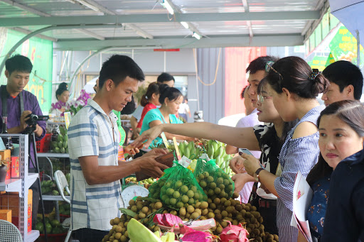 nhãn sơn la