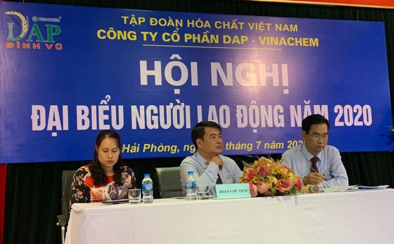 DAP-Vinachem