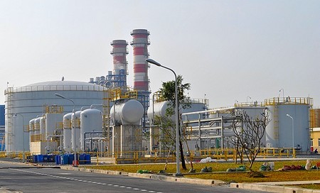 điện cà mau