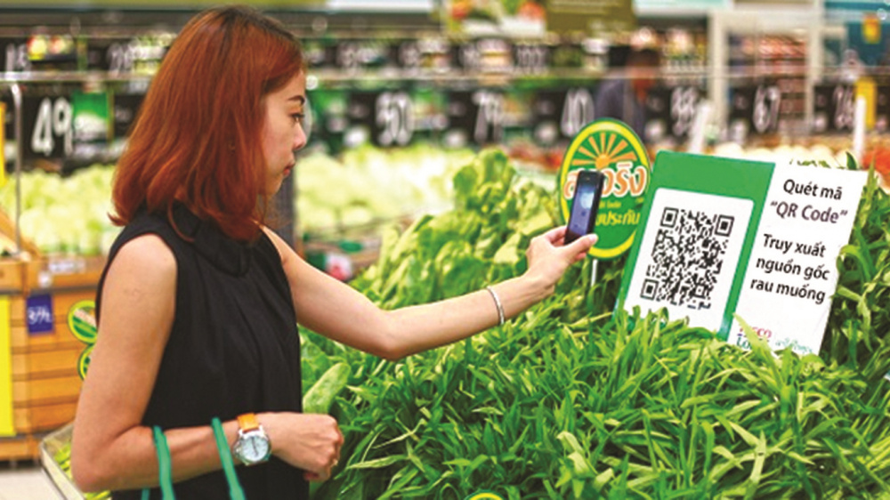 truy xuất nguồn gốc