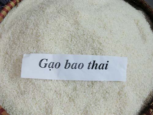 gao bao thai