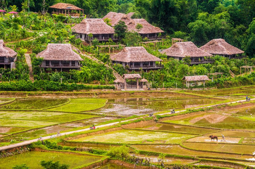 Hoa Bình