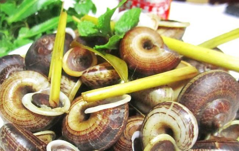 Ốc suối