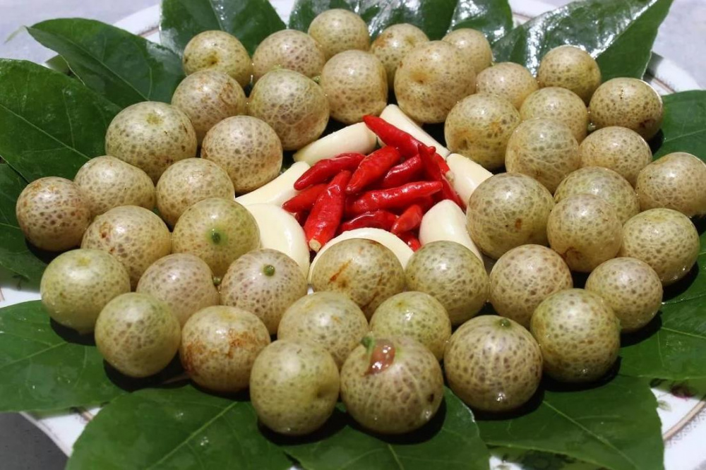 Quả mắc Nhung