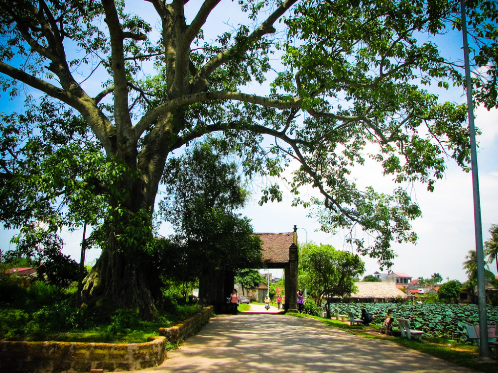 Làng cổ