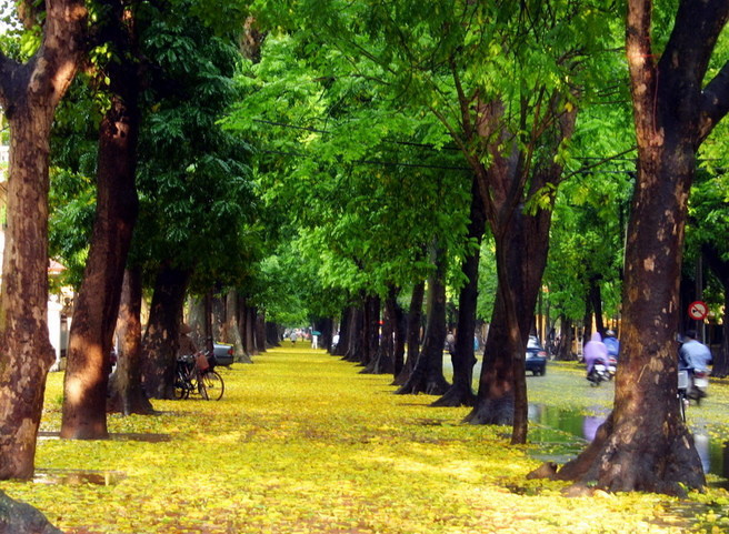 Đường Phan Đình Phùng