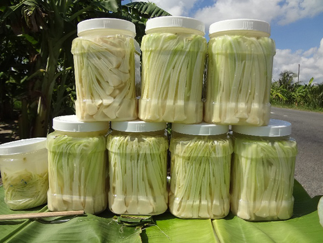 Bồn bồn4