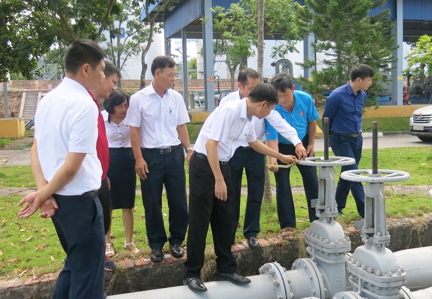 cang dau b12