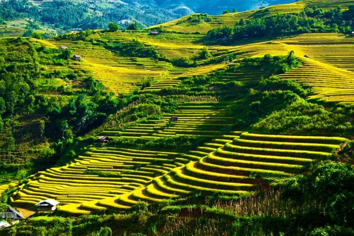 La Pán Tẩn