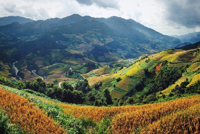 La Phán Tẩn