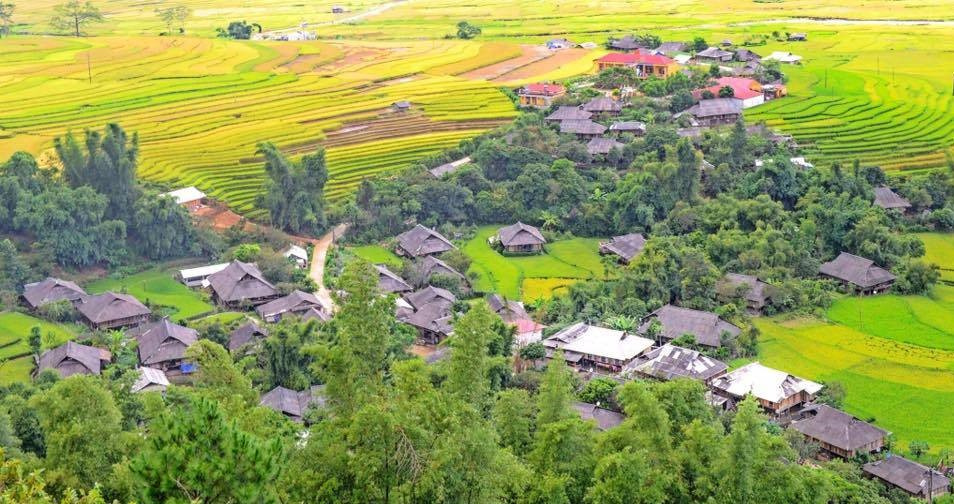 Lìm Thái