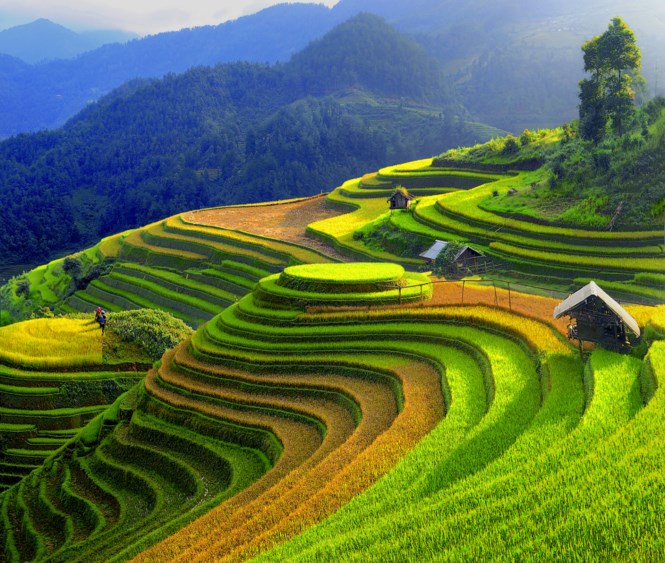 Mùa Căng Chải