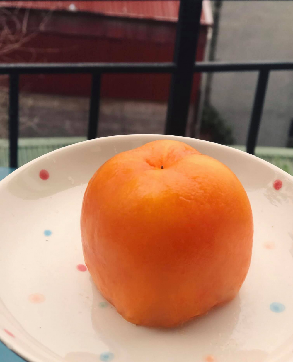 Hồng da tre