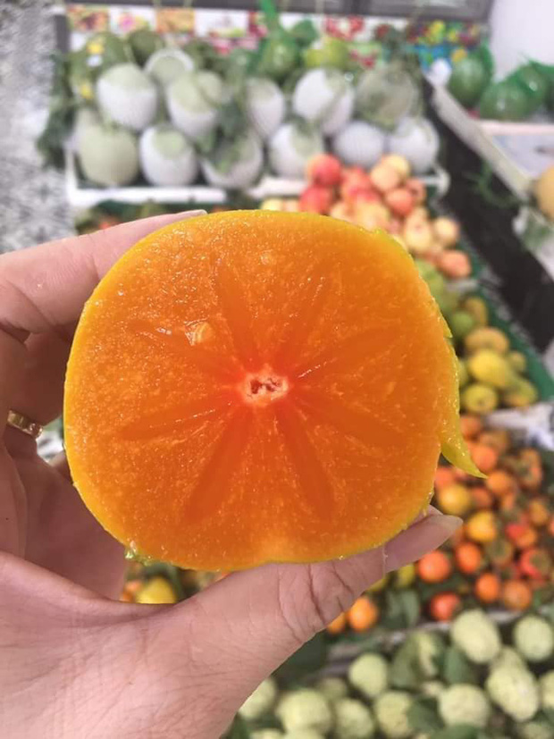 Hồng da tre