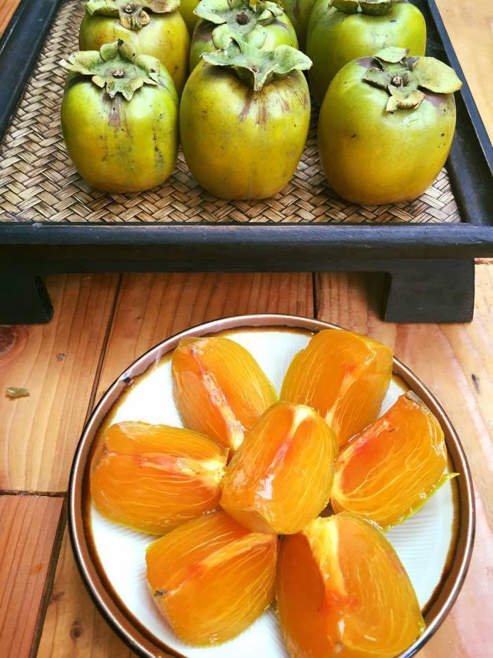 Hồng da tre