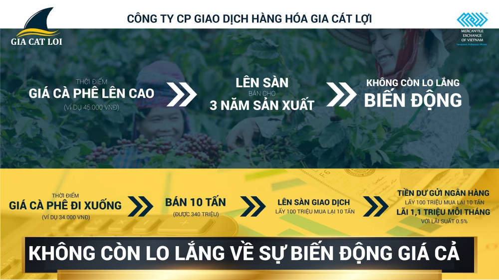 Gia Cát Lợi 