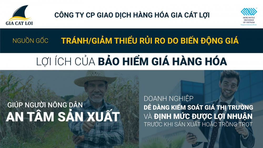 Gia Cát Lợi 