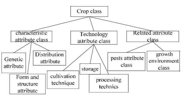 crop_attribute_classes