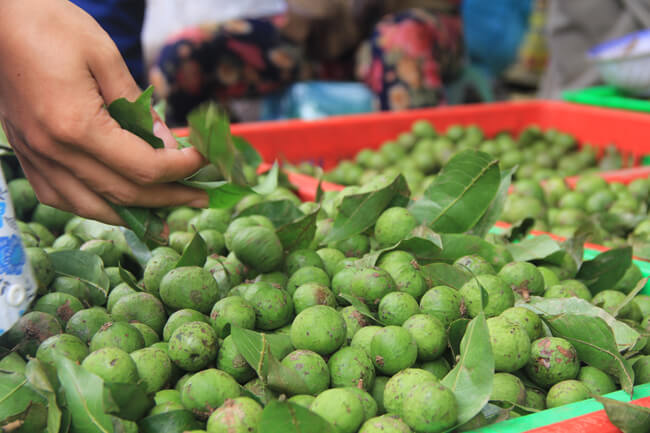 Sấu 