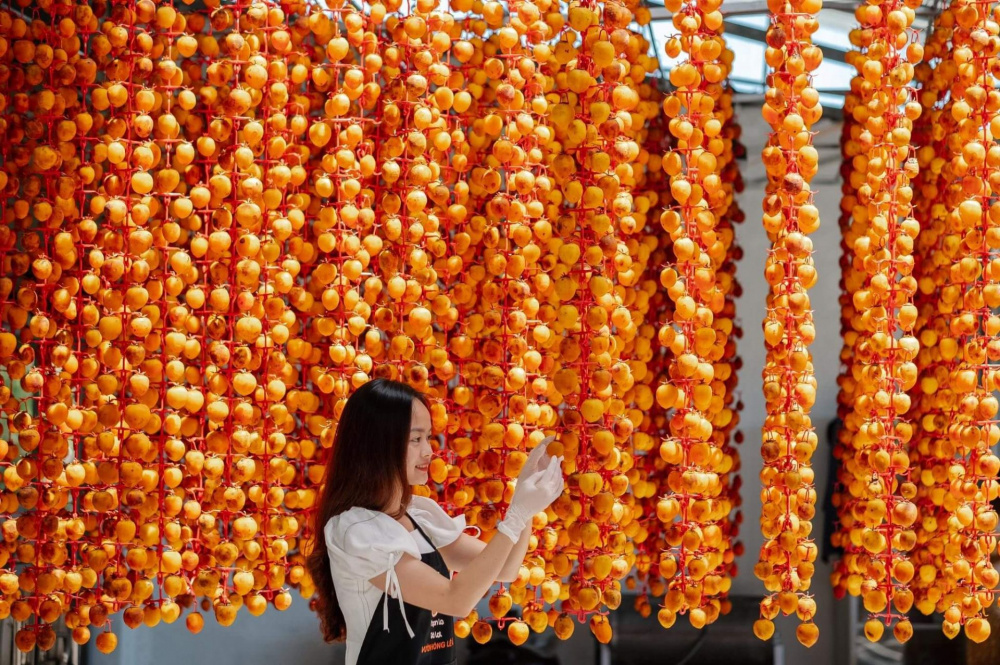 Vườn hồng