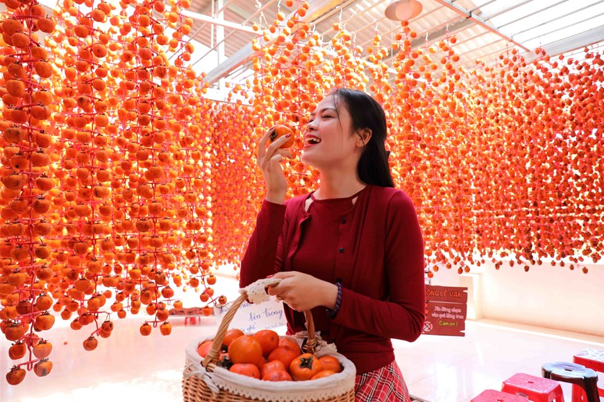 Vườn hồng