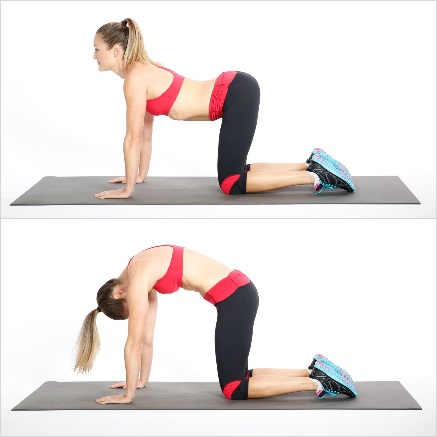 yoga 5