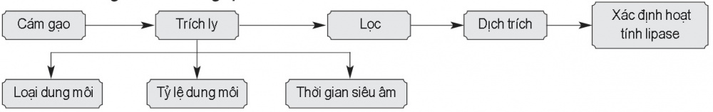 Sơ đồ nghiên cứu tổng quát