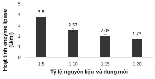 Tỷ lệ nguyên liệu và dung môi ảnh hưởng đến trích ly enzyme lipase