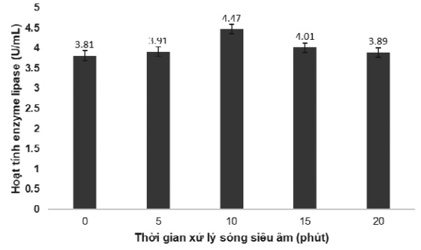 Thời gian sử dụng sóng siêu âm ảnh hưởng đến trích ly enzyme lipase