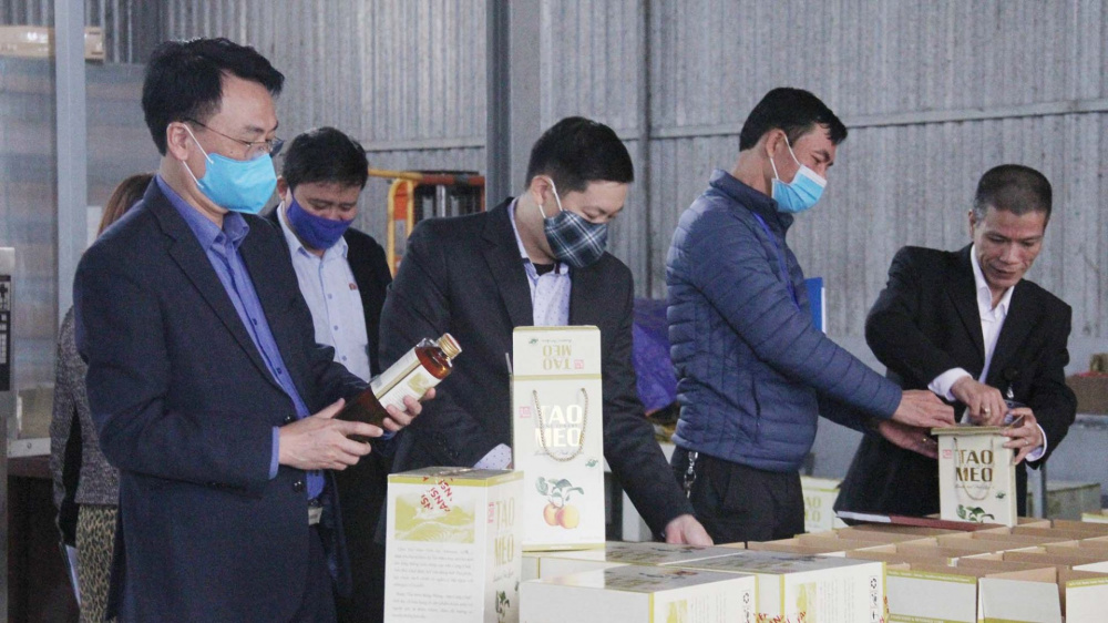 Yên Bái: Tích cực hành động, đảm bảo an toàn Link vào Cwin Cá Cược Thể Thao 2026 trong dịp Tết