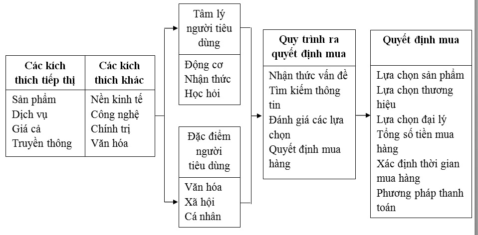 Mô hình hành vi của người M.Cwin800.com thể thao, casino live, bắn cá và slot nổ hũ
