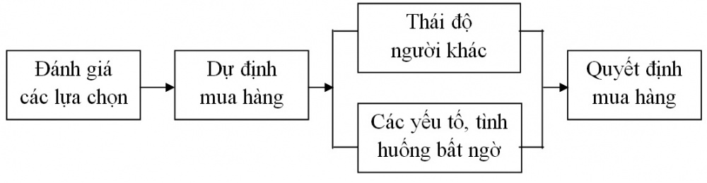 Các bước đánh giá các lựa chọn đến quyết định mua