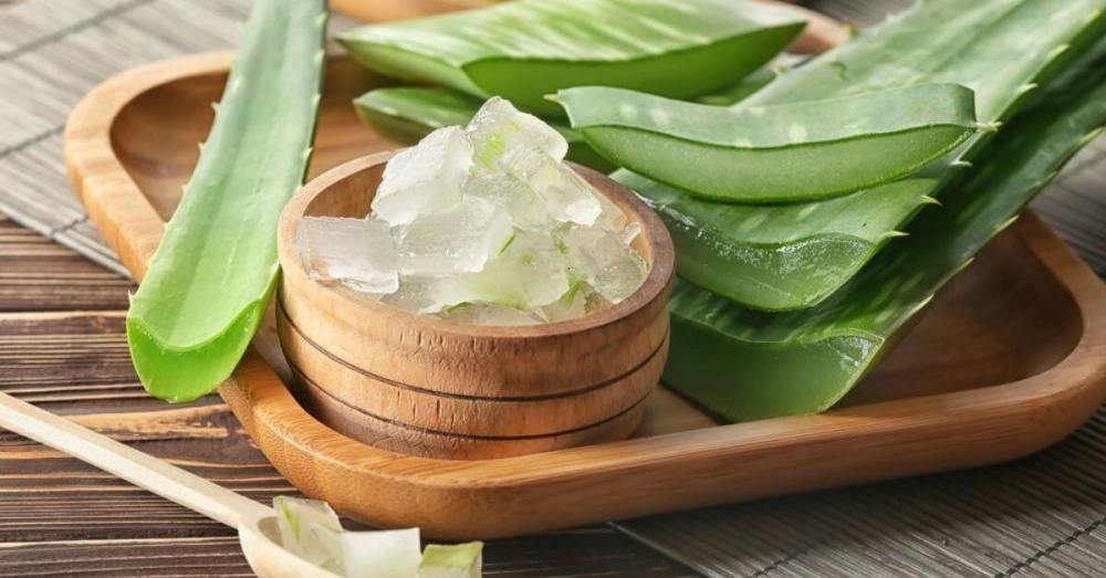 Nha đam