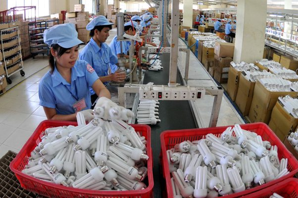 Công ty cổ phần Bóng đèn Điện Quang là một trong những Cwincom hiện đang mở tham gia dán nhãn xanh sinh thái.