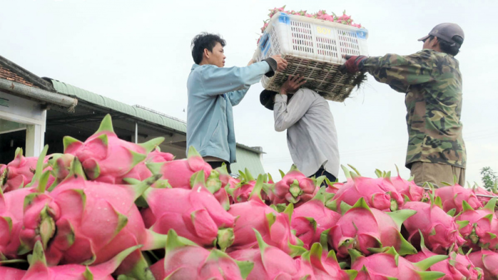 để trái cây Việt vươn xa