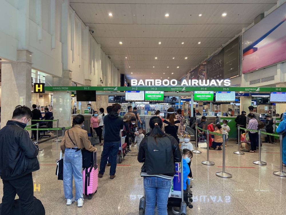 Bamboo