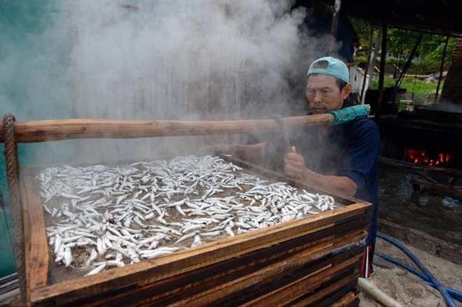 Ngư dân hấp cá cơm để mang vào đất liền bán