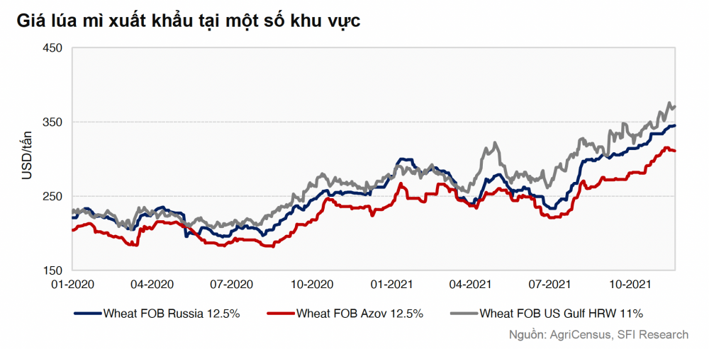 giá lúa mì Cwin Đăng Ký + 1888k