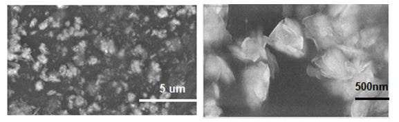 sem-image-of-plg1-composite