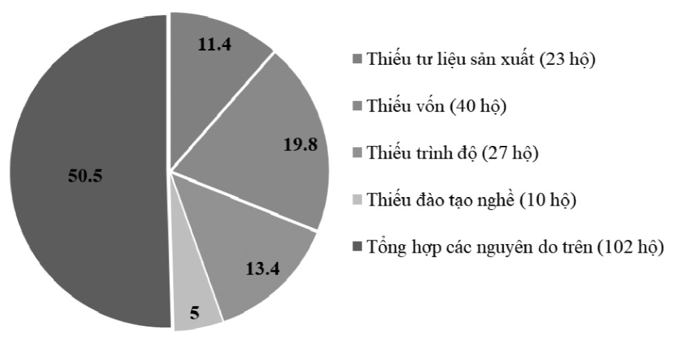Các nguyên nhân làm cho hộ nghèo vẫn chưa cải thiện được thu nhập của mình