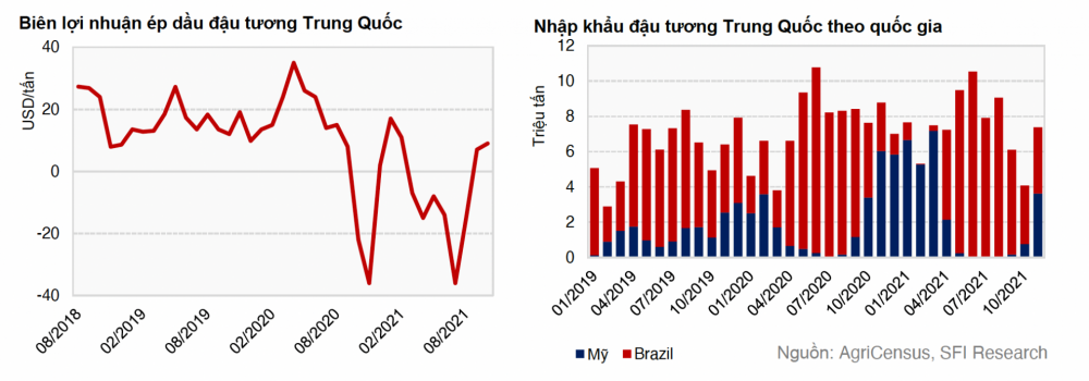 Nhập khẩu đậu tương